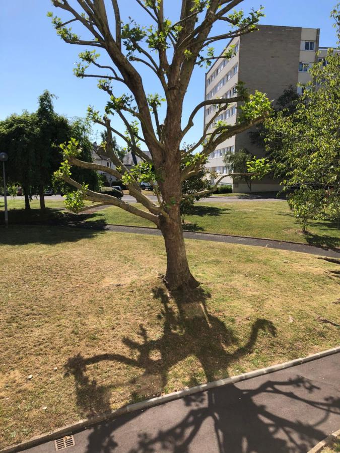 קאין Magnifique Appartement 14 מראה חיצוני תמונה
